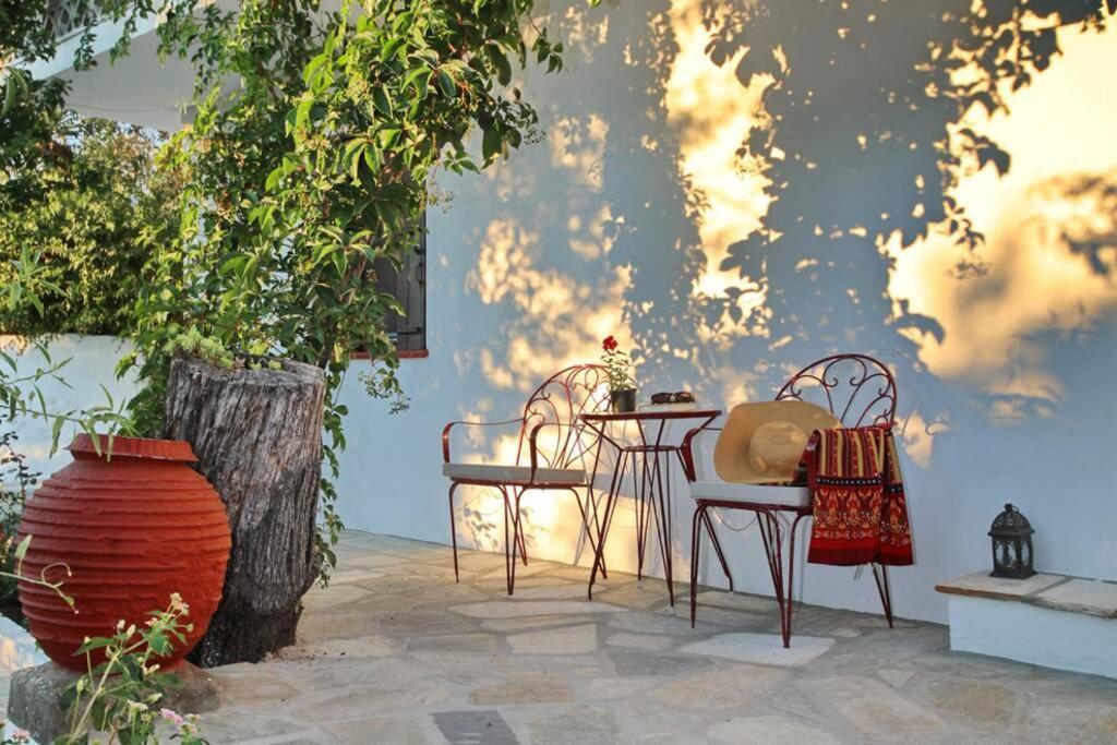 Παναής & Μαρία / Panais & Maria Villa Skopelos Dış mekan fotoğraf